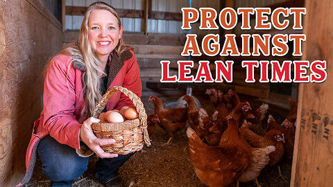 Are Your CHICKENS Resilient? (Feeding Chickens in Hard Times)