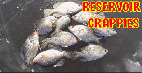 Reservoir Crappies