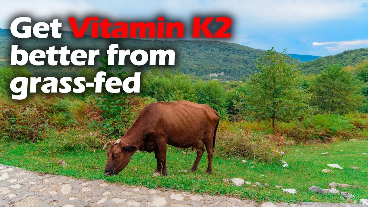 Q & A: What's the fuss about vitamin K2 and grass-fed beef?