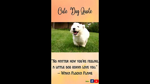 Cute Dog Quote