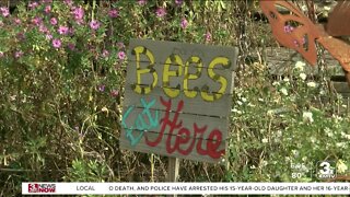 Council Bluffs is designated as a "bee city"