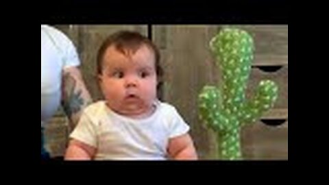 Funny baby videos 😃😃😃