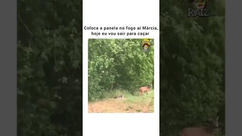 🤣🤣🤣