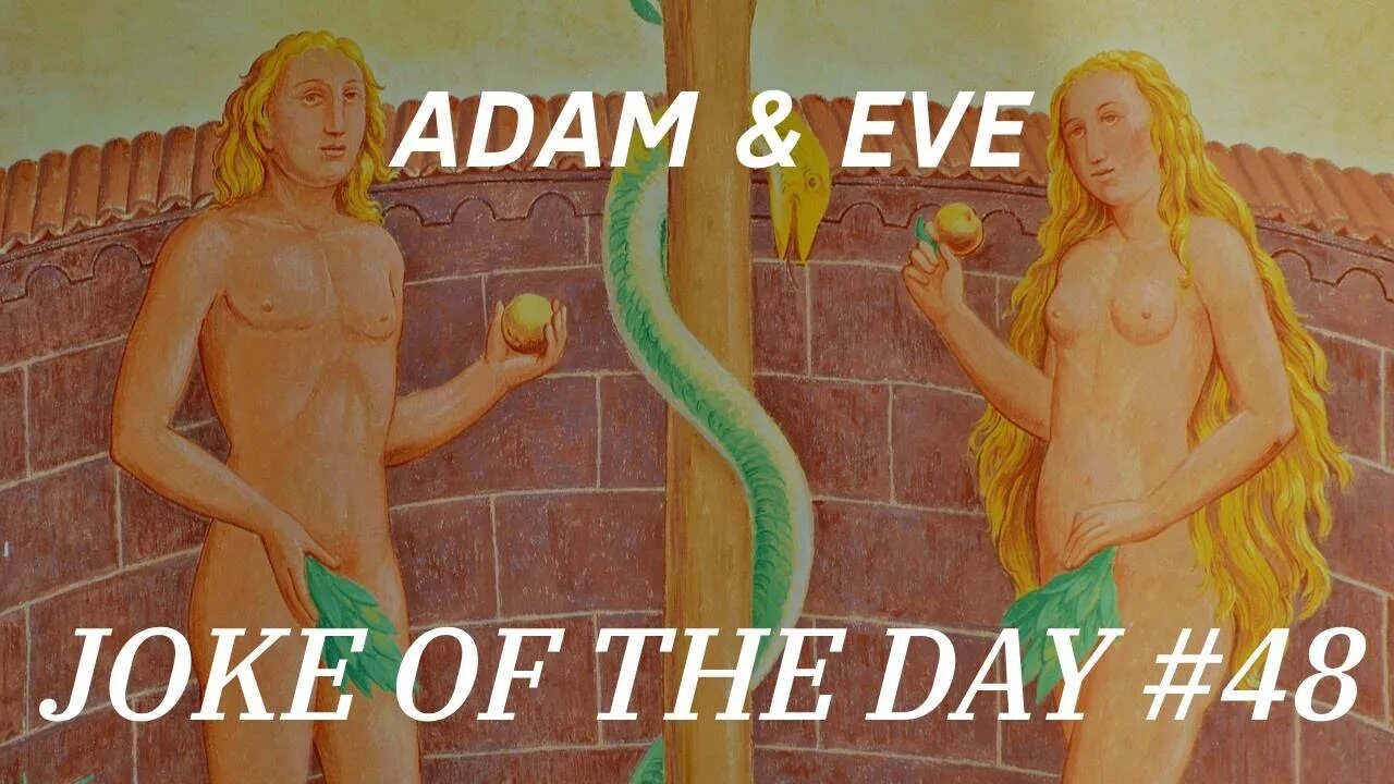 Joke Of The Day #48 - Adam & Eve - The REAL Story!