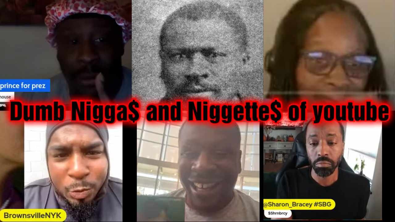 Lets Talk Dumb Niggs and Niggettes of YouTube