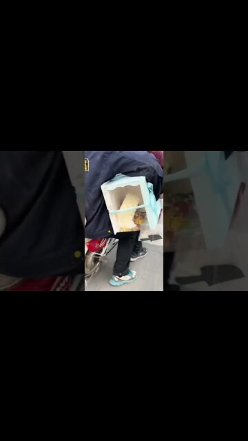 o bolo vai chegar inteiro CONFIAAA🤣🤣🤣