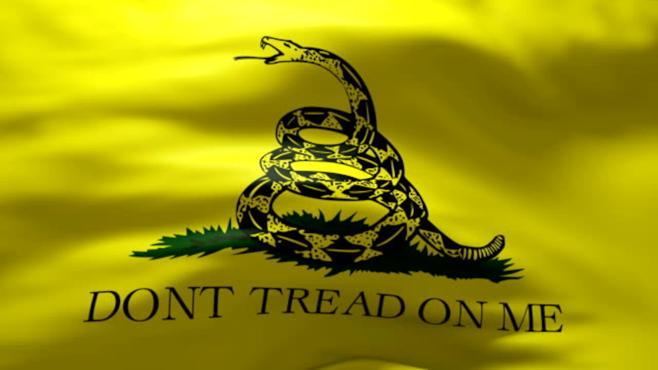 Arizona Audit Hijacked! The McCain Gang