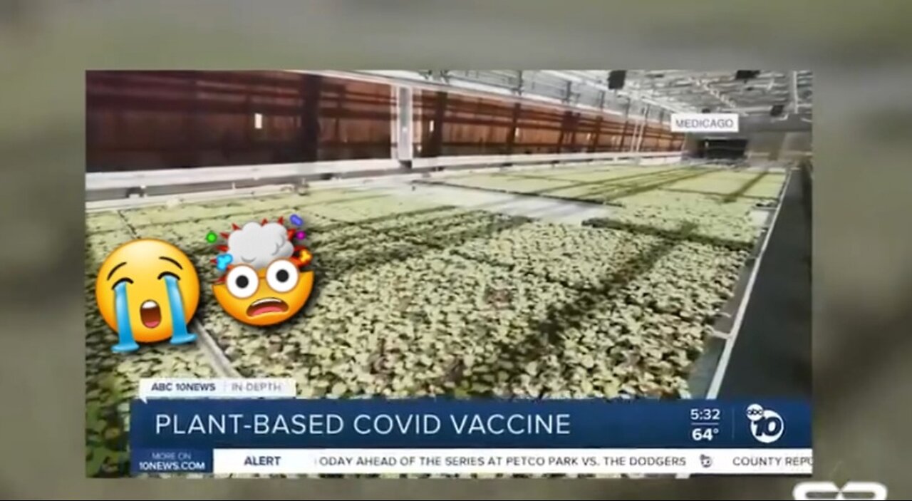 LIVESTOCK INJECTED WITH MRNA SHOTS THIS MONTH AS WELL AS FRUITS & VEGETABLES 😭🤯