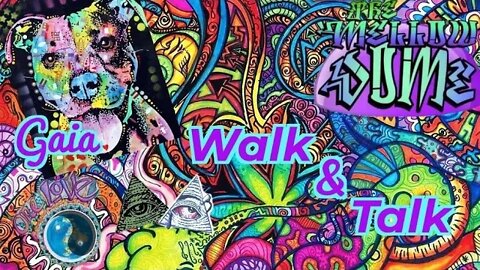 Walk & Talk With Austin & Gaia #8