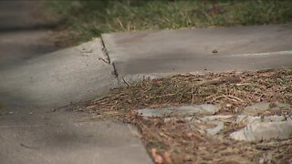 Denver sidewalks could be fixed by new property tax