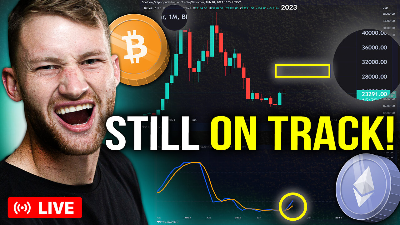 $33,000 BTC Is Still On Track For 2023! (PROOF!)