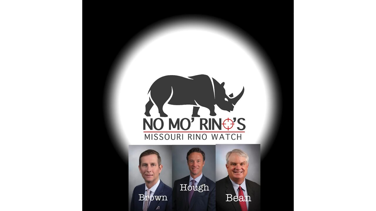 RINOs in the Wild #1