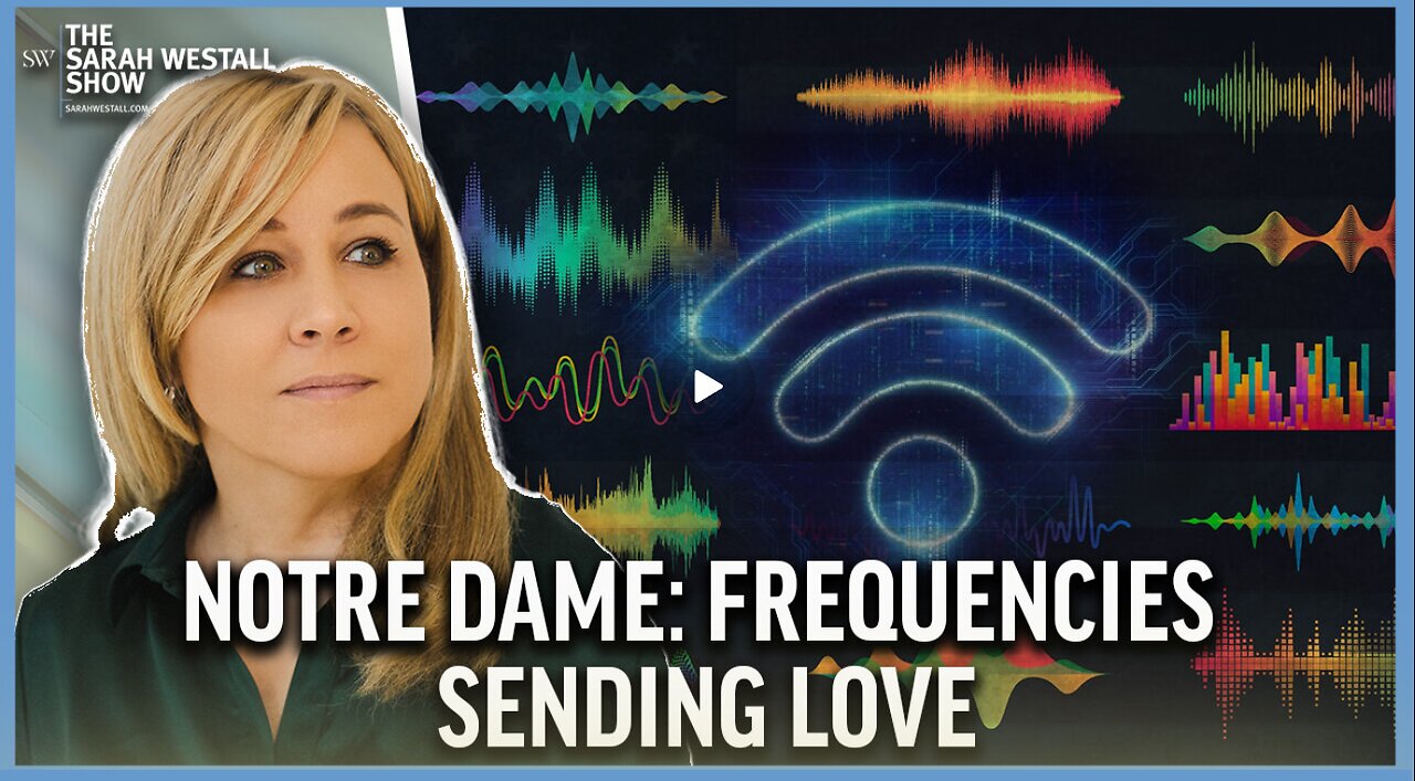 Internet Utiliizing Health and Love Frequencies vs Damaging EMFs – The Future can be Amazing