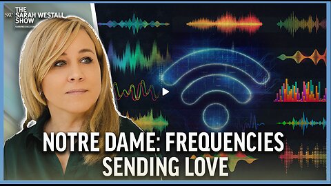 Internet Utiliizing Health and Love Frequencies vs Damaging EMFs – The Future can be Amazing