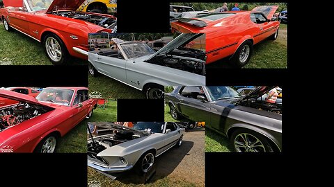 07/15/23 Mustangs in the Valley 1st Gen Ford Mustangs pt1 #mustang #mustangs #fordmustang