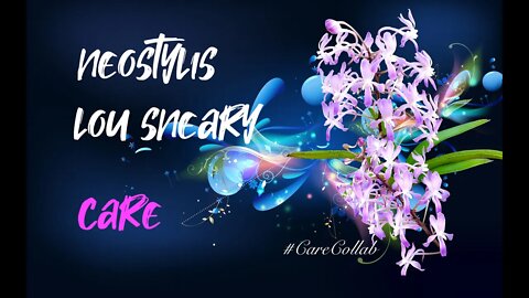 Neostylis Lou Sneary | Year 'round CARE | MISTAKES & LESSONS learned | S'ern Spain #CareCollab