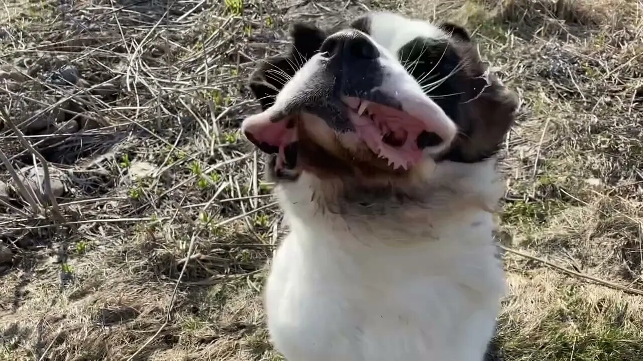 Walter getting ready for his picture to be taken.