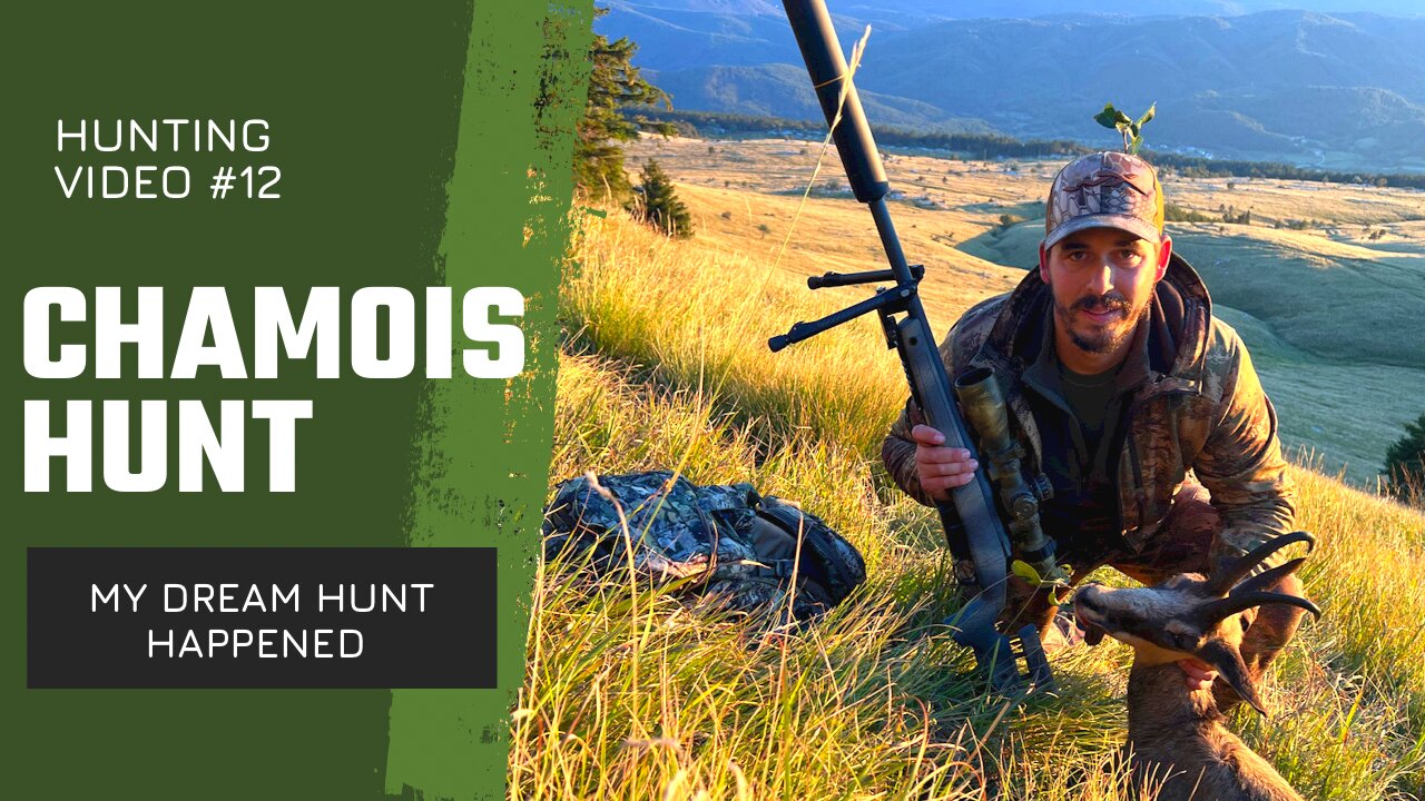 Chamois at 620yards - Long range hunting video #1