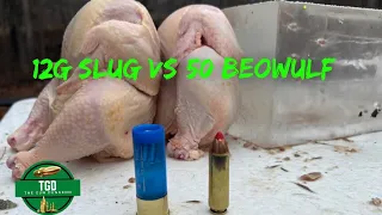 12g Slug VS 50 Beowulf | Ballistic Chicken Test!!!