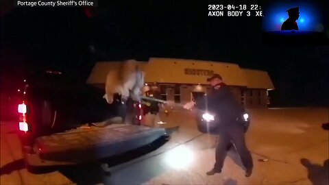 Officer Pulls Bobcat Out Of Car Bumper