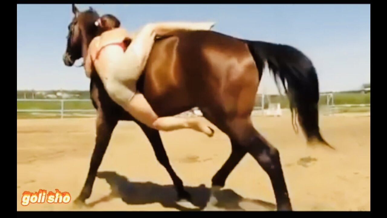 funny horse video 2021