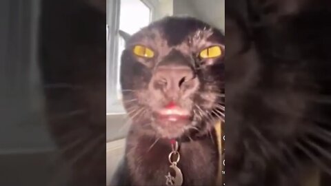 What an happy Friday make viral | #shorts | #viral | #funny | #happyfirday
