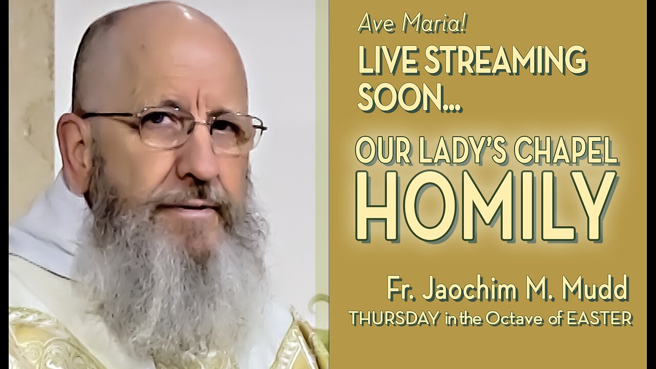 Thursday in the Octave of Easter - April 4, 2024 - HOMILY