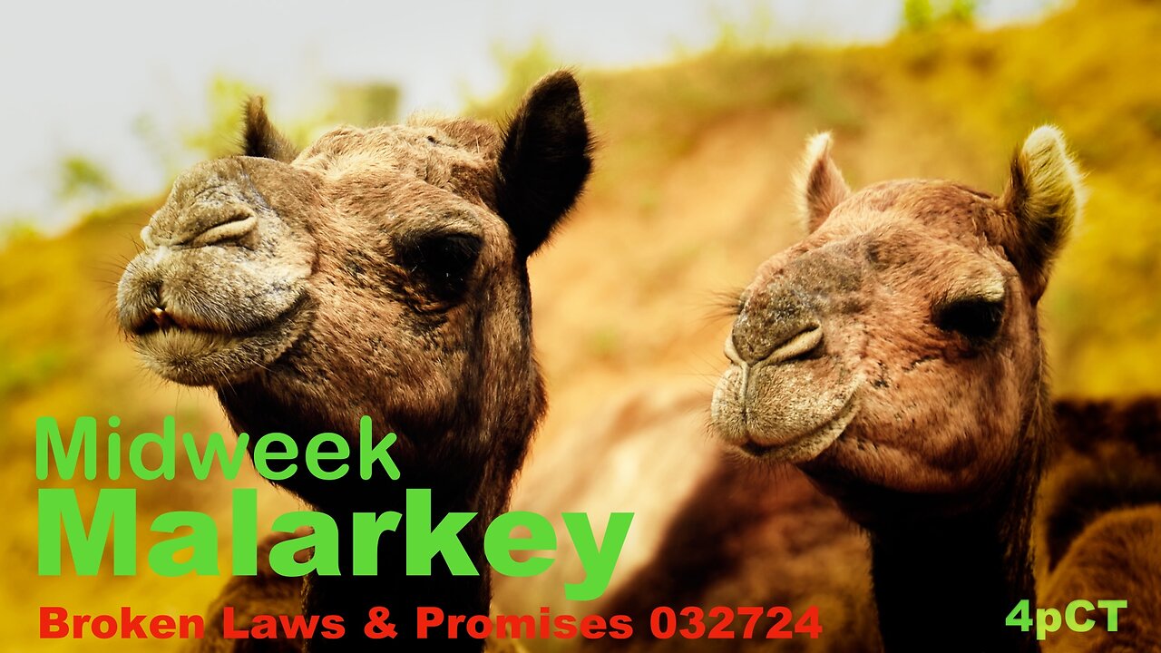 Midweek Malarkey: Broken Laws & Promises 032724