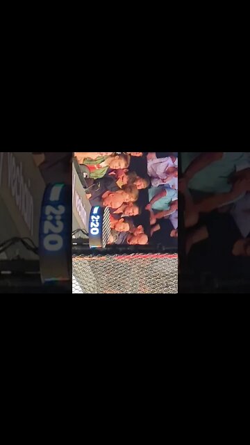 Mark Wahlberg stone cold reaction at UFC 279