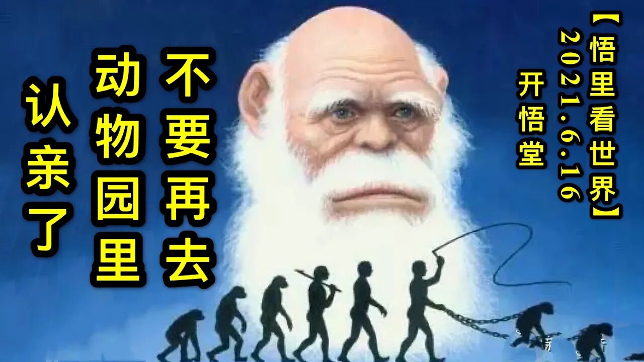 KWT1960“不要再去动物园里认亲了”20210616-12【悟里看世界】