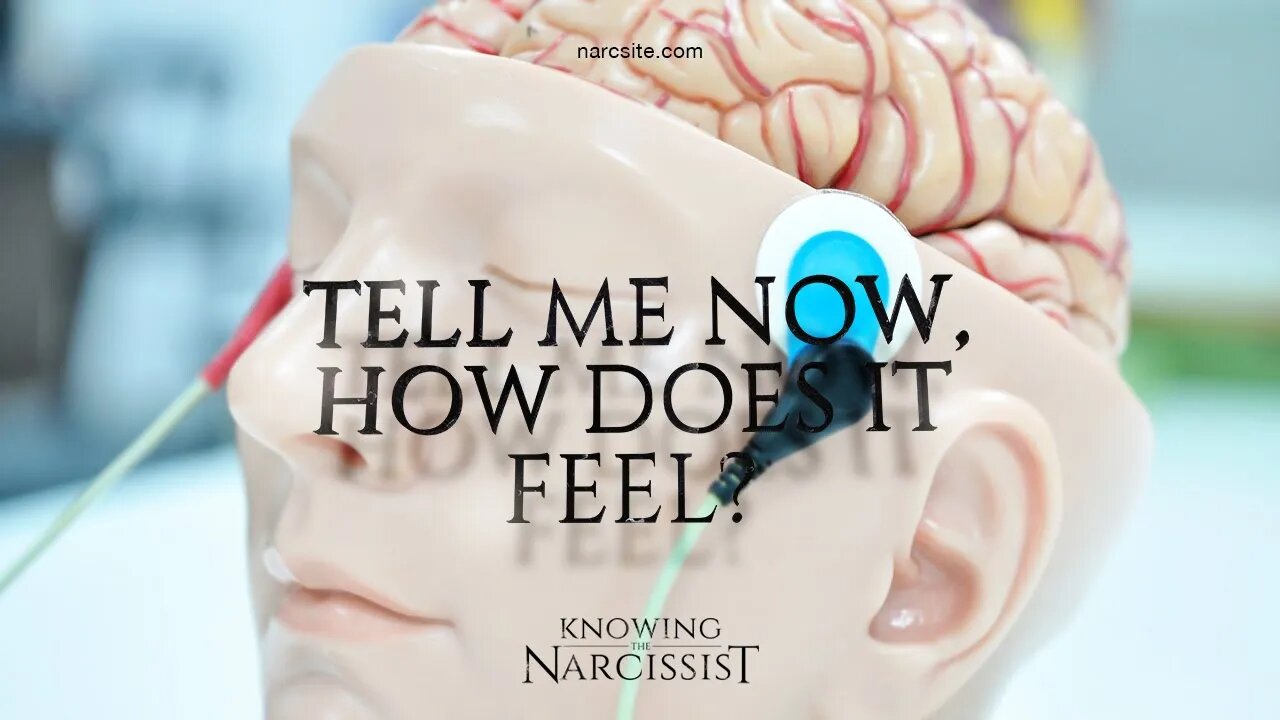 Tell Me Now How Does It Feel? The Narcissist Needs To Know