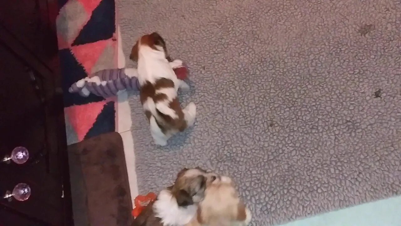 G Litter - Really Grueling Up