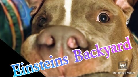 Einsteins Backyard Episode 1 Pilot