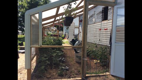 Greenhouse Garden Update June 29th