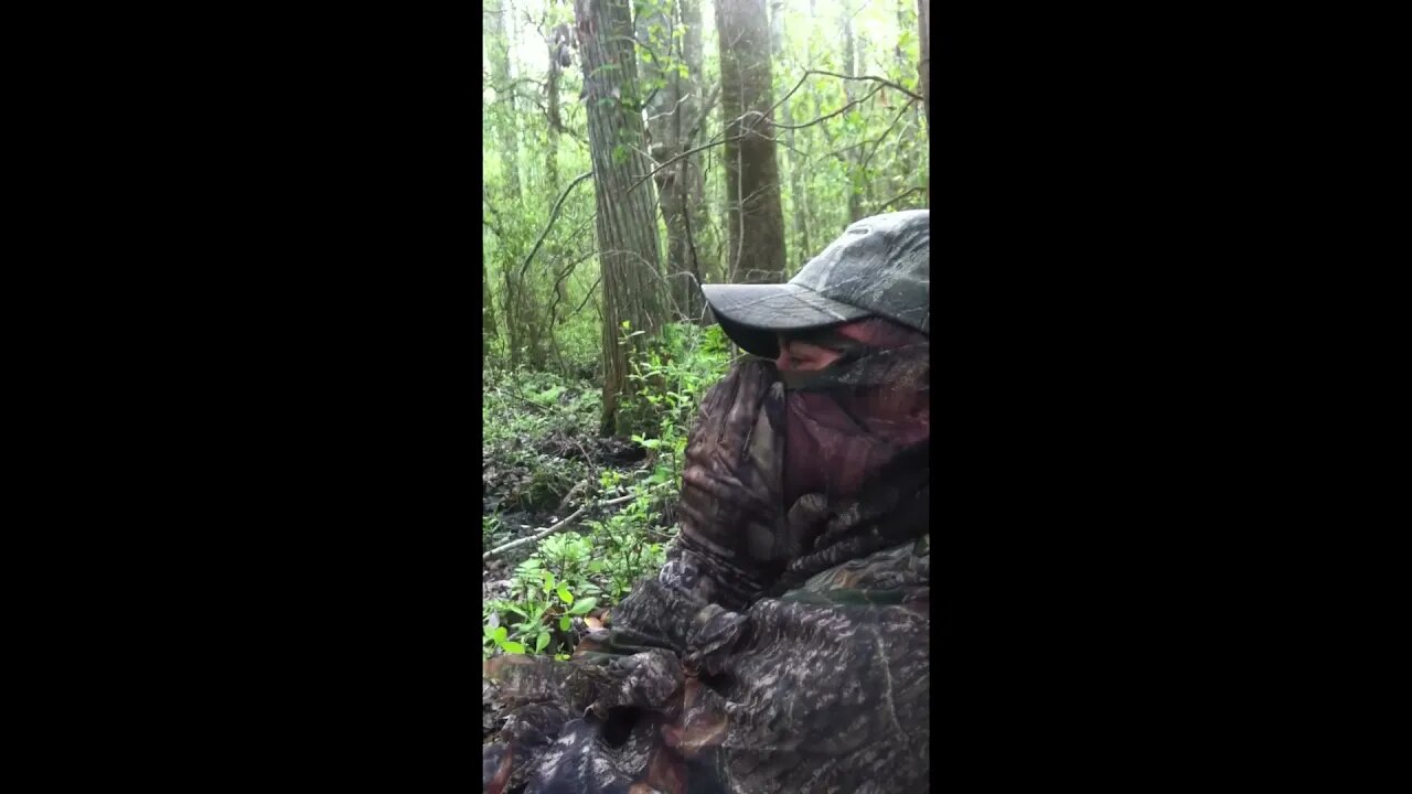 Calling a thunder chicken down in the Alabama Swamp!