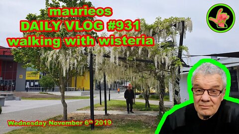 maurieos DAILY VLOG #931 walking with wisteria