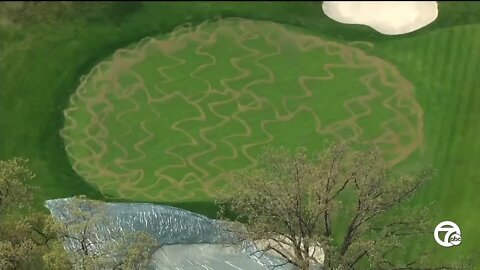 Two greens at Detroit Golf Club remain closed due to vandalism
