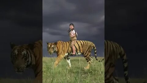 Baby riding a big cat shopping