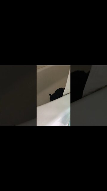 Shadow Attack - Part 2