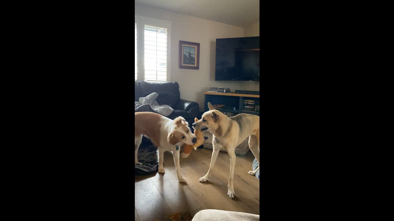 Tug of war