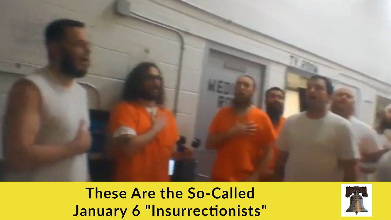 These Are the So-Called January 6 "Insurrectionists"