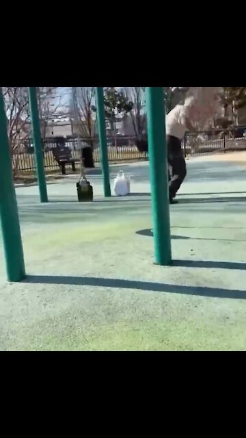 Grandpa does backflip off swing