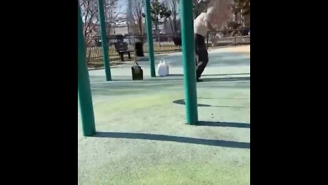 Grandpa does backflip off swing