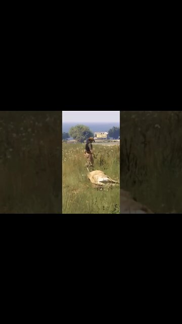 How To Hunt In GTA 🦌🏹