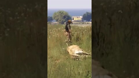 How To Hunt In GTA 🦌🏹