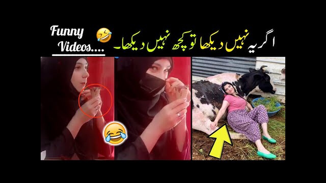 Most Funny Videos Caught On Camera 😜-part;-108 | funny moments 😅