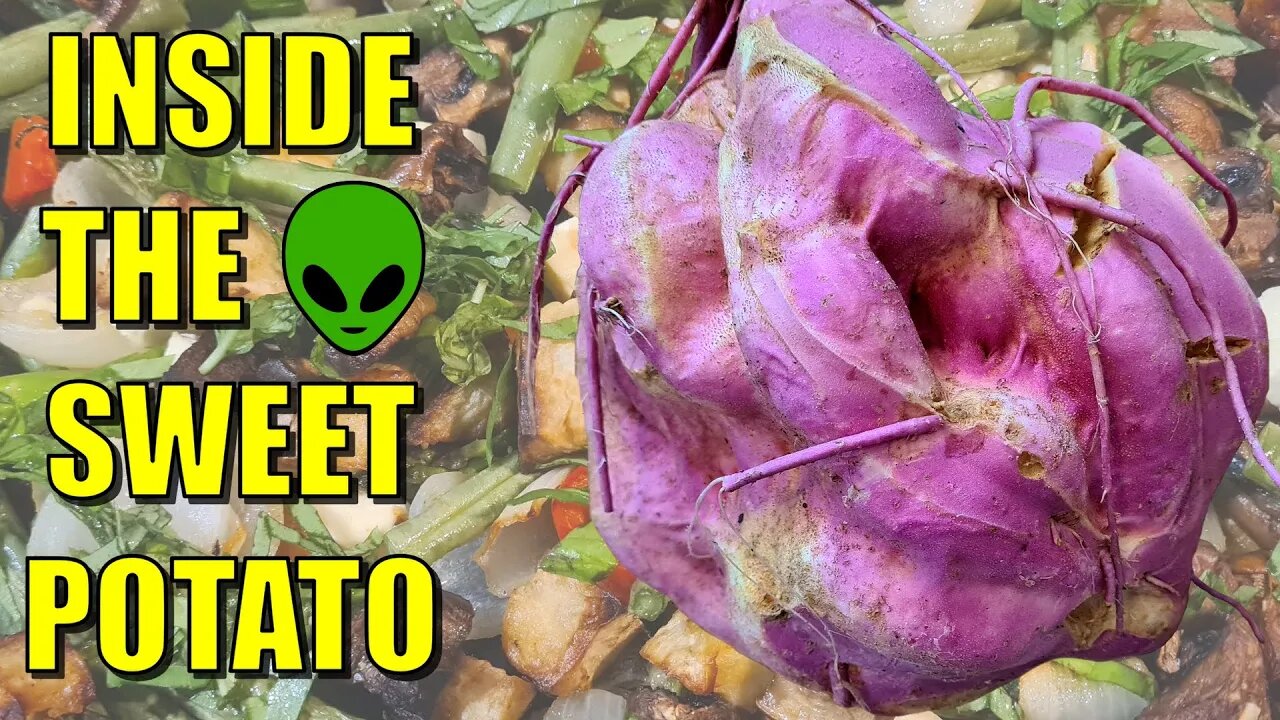 Inside the Alien Sweet Potato + Sweet Tater & Green Bean Warm Salad