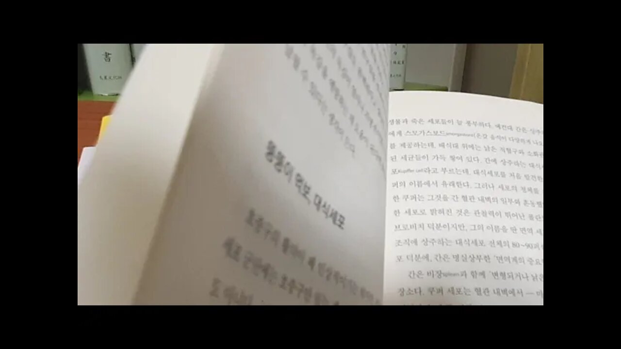오늘도 우리 몸은 싸우고 있다, 면역의 과학, 캐서린 카버, 뚱뚱이 먹보, 대식세포, 호중구, 타고난 킬러