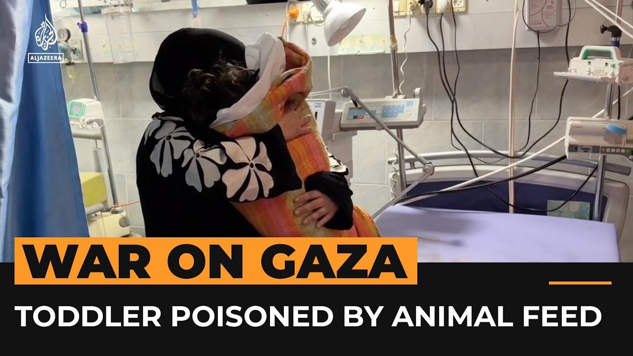 Toddler dies from poisoning in Gaza _ Al Jazeera Newsfeed