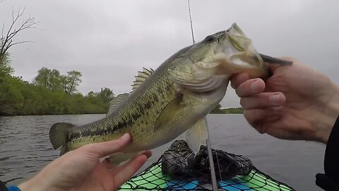 Bass Fishing | Yum Dinger Elder’s Magic